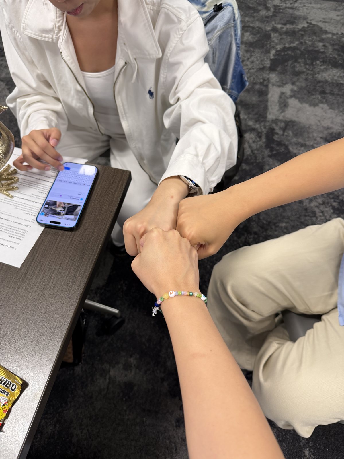 The team fist-bumping over their work